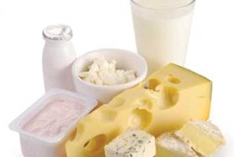 Milch & Milchprodukte