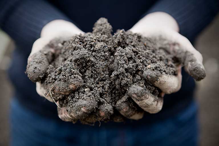 Feststoffuntersuchungen