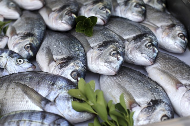 Fisch und Fischerzeugnisse